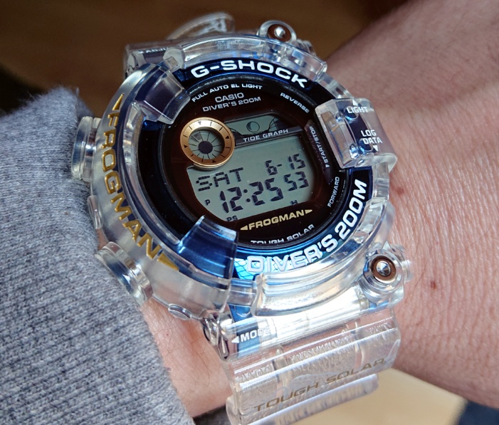 frogman icerc