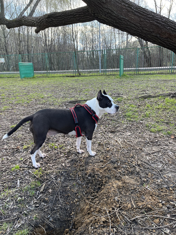 E8AC9DC8-2643-486F-AADB-223FBA029A69