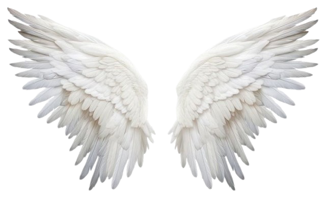 wings. i ripped these off of emily's back