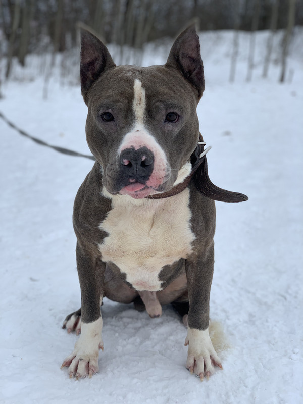 D523D5E8-8B84-4A24-A934-C660434708A7