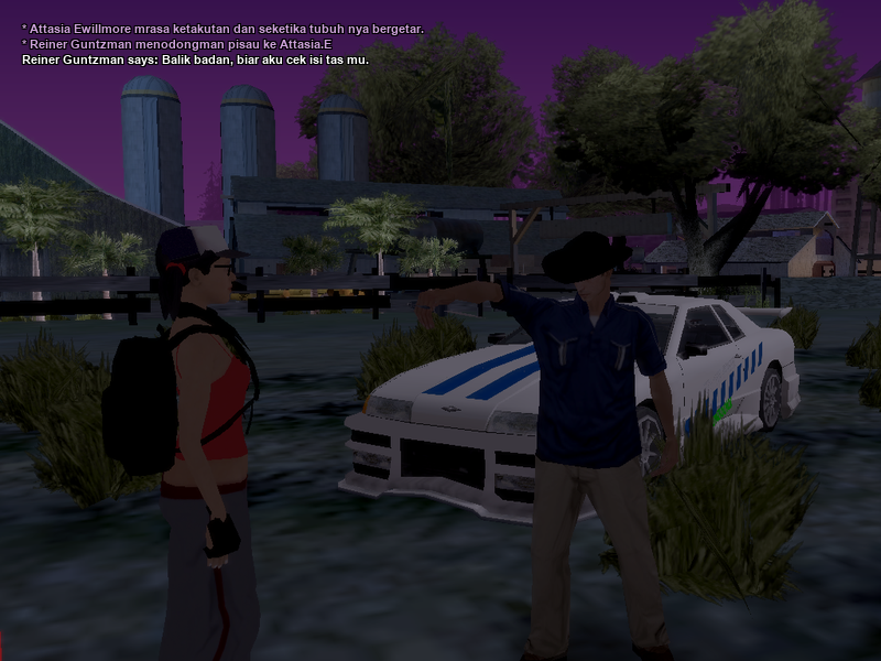 SS4.png