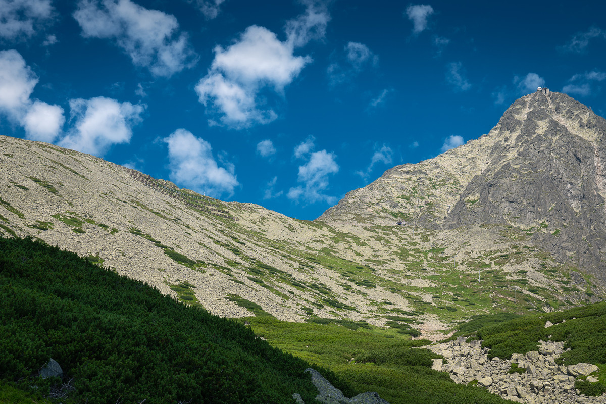 Obrázek