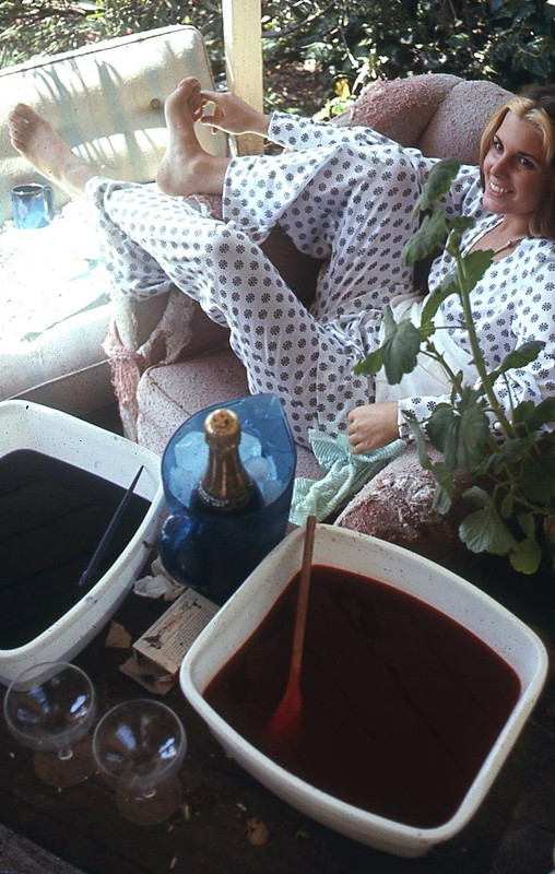 susan saint james a49