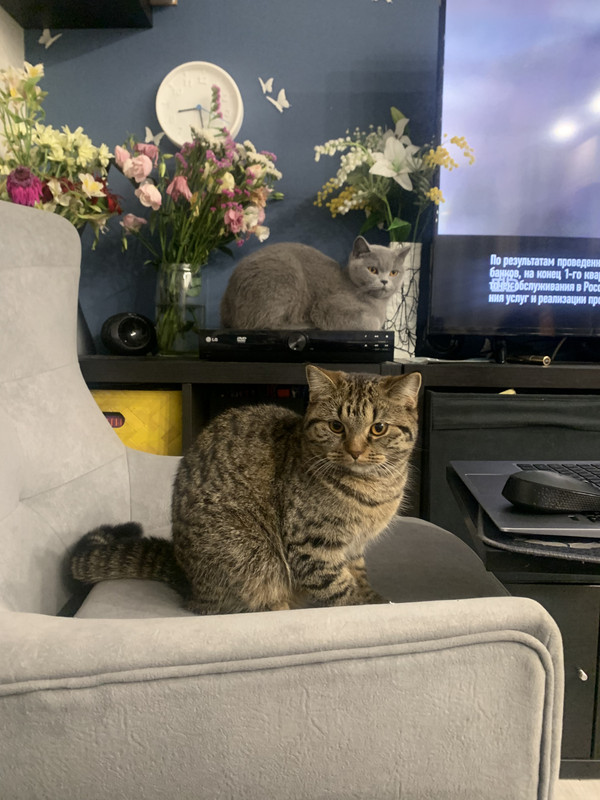 26146DCF-0A17-4CFC-B188-4D3999B6E141