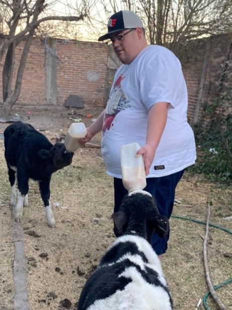 Myself bottle feeding calves