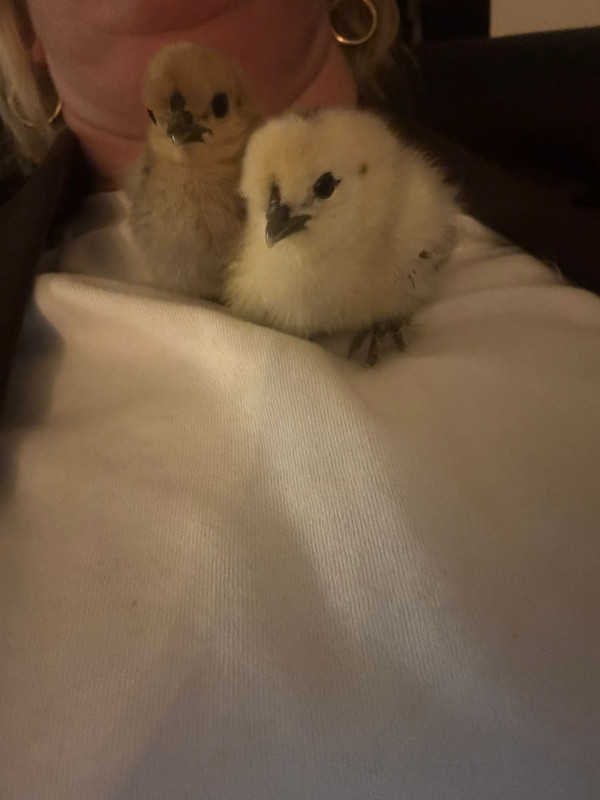 b133074a 8ce1 4104 83d8 8aca290fef2e