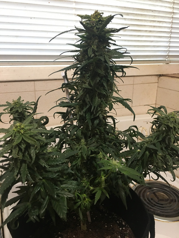 897337C1-8F3F-4268-AAED-223A61C39194