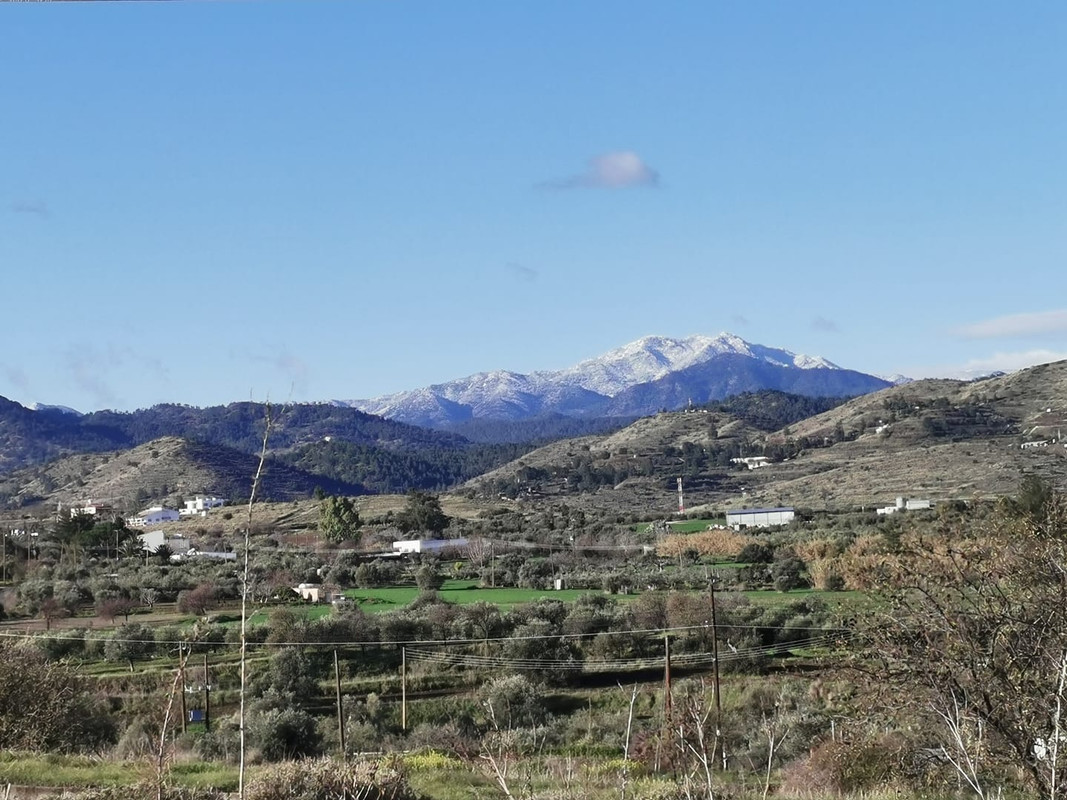 κληρου