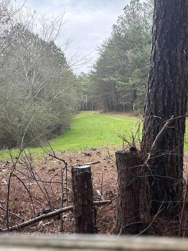 79037686158 1CD6CADB E057 408C A623 6106A8A9BA9C