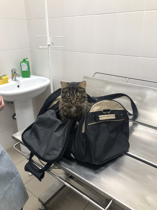 4B09CAF6-2AB7-4811-A7F7-CF5789D0441F