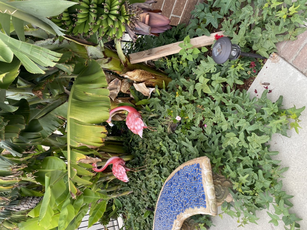 18A0B361-85B2-43B7-80FD-DDAEDD1E96E3