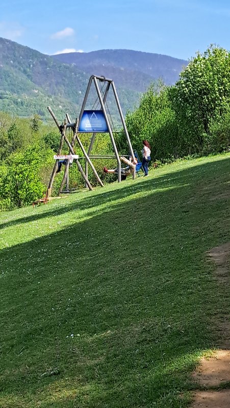 Slika