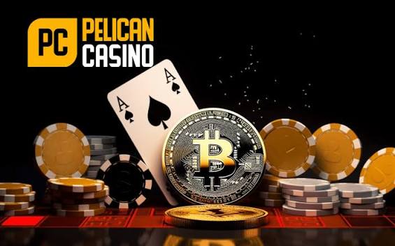 Pelican Casino cestina v ceske verzi platformy v CZK