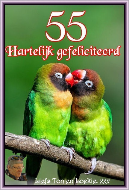 www.krabbelplaatjes.com