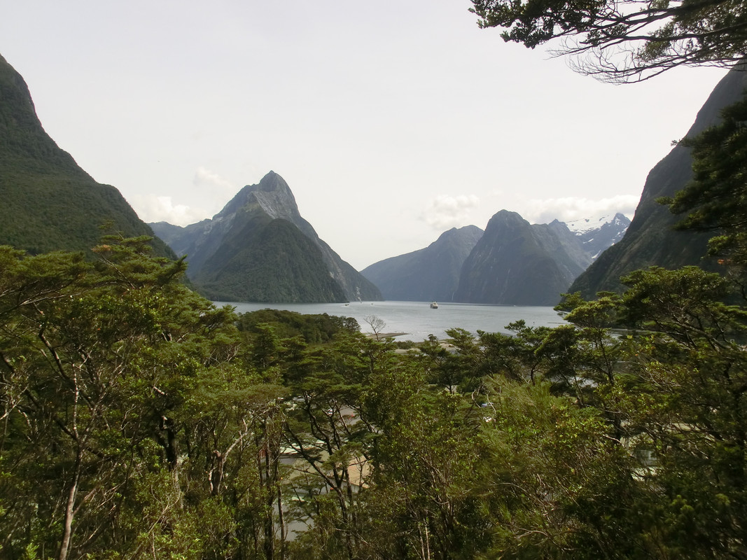 Te Anau - Milford Sound – Te Anau - NUEVA ZELANDA , SUEÑO CUMPLIDO (1)