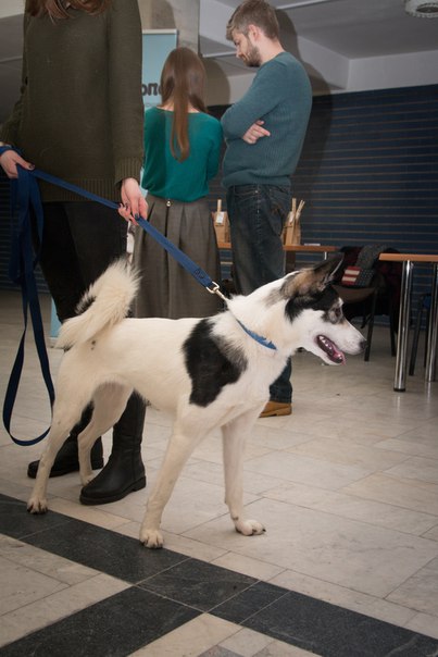 50AC4409-B7B0-490E-86C6-BB76FD90B309