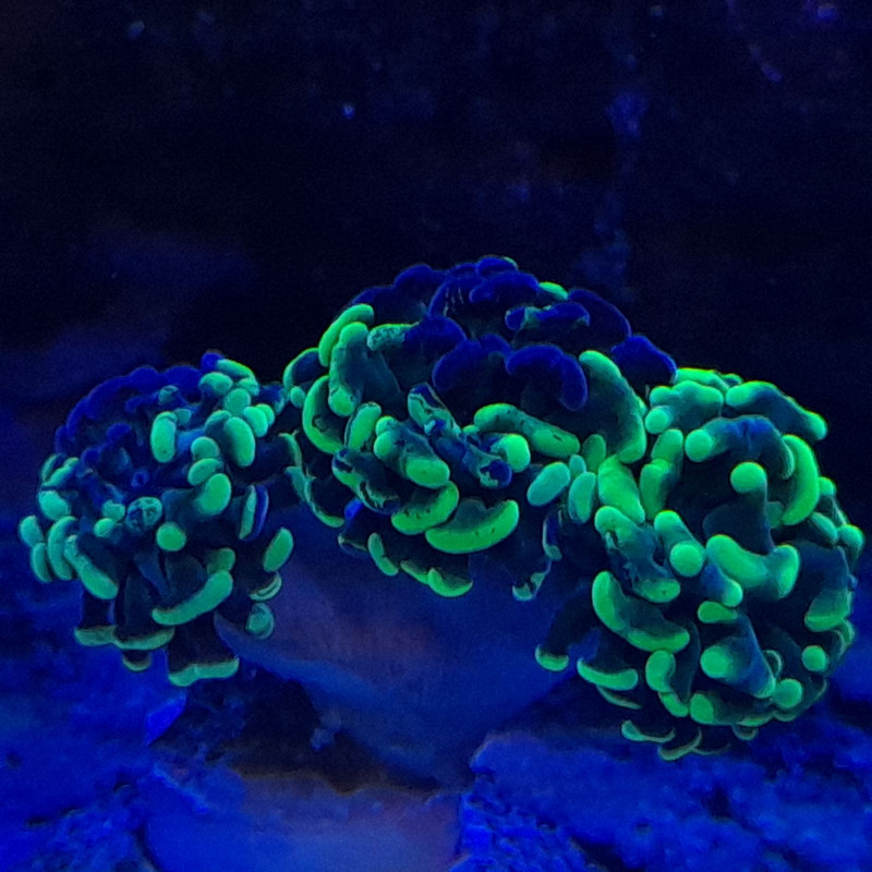 изображение_viber_2022-02-03_09-18-29-664