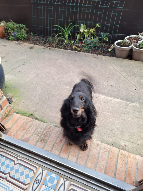 [Image: 20240217-173308.jpg]