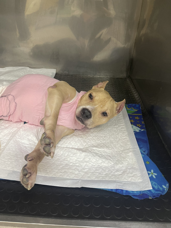 1028EDA2-B78F-42F8-903C-0DE4F98238BE