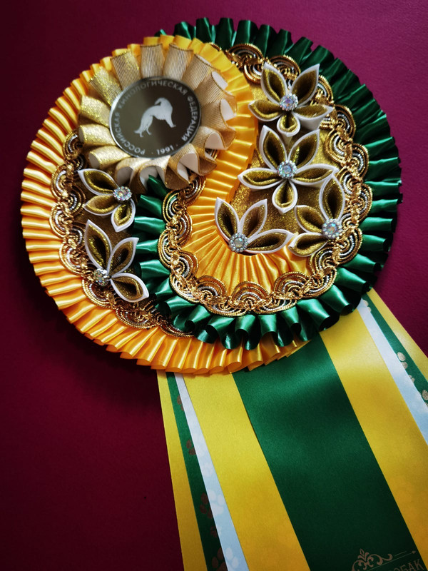 E6978d23 06c1 4b1d 88d2 72eba550c254 Postimages