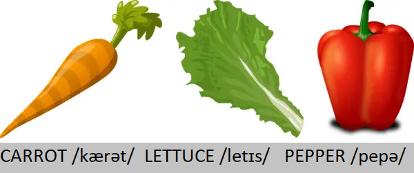 zelenina po anglicky: carrot (mrkva), lettuce (listový šalát), pepper (paprika)