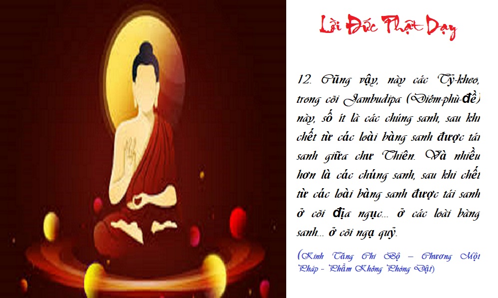 [Image: L-I-D-Y-12a-TCBK1.jpg]