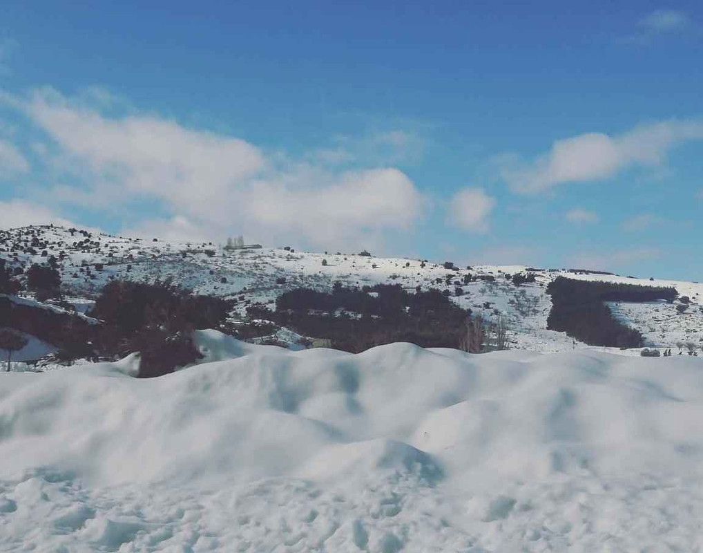 IMG-20200126-WA0022 ew