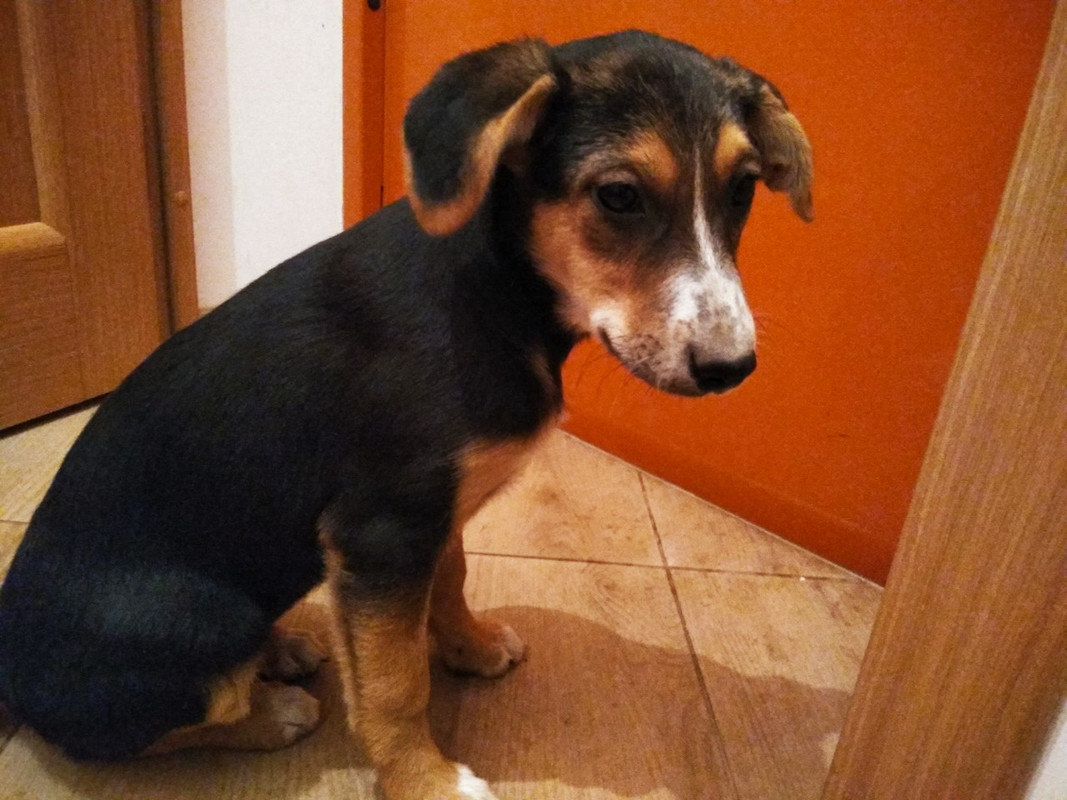 изображение_viber_2019-09-21_17-50-54