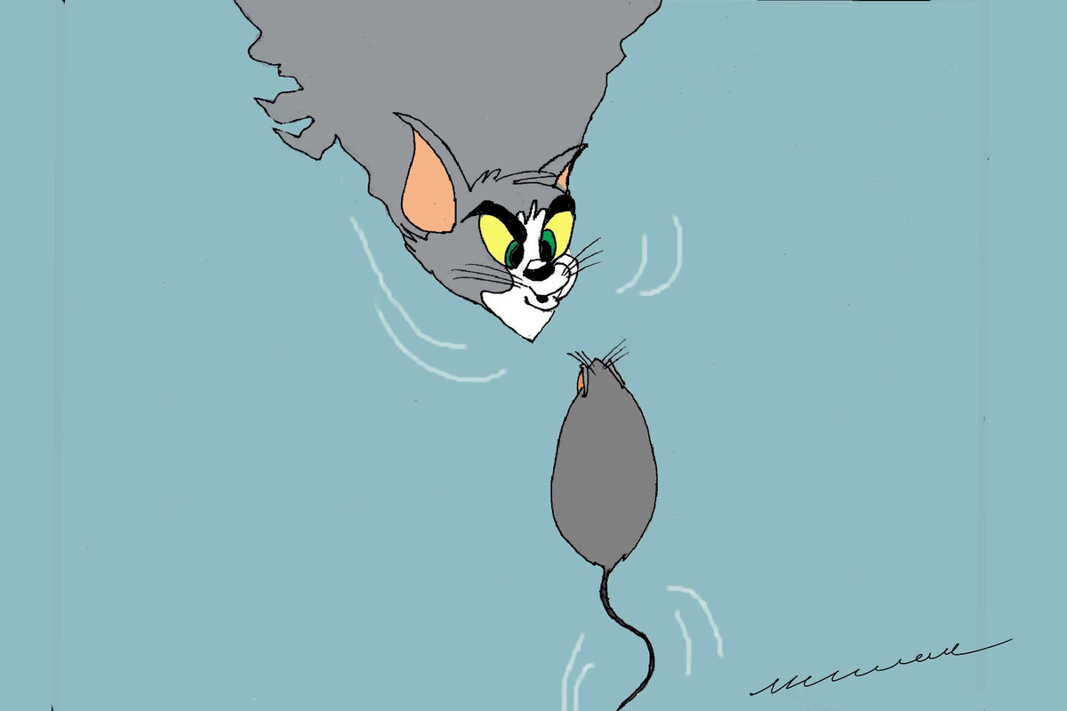 6-E3-C05-FD-67-BE-4509-8192-B55407-F7896