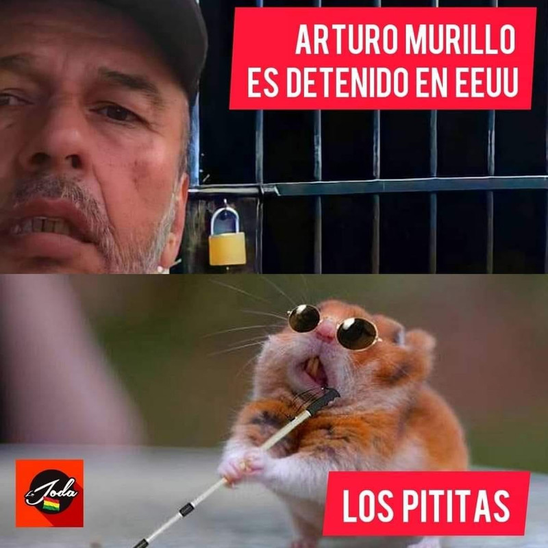 WhatsApp Image 2021-05-27 at 13.07.58 (4)