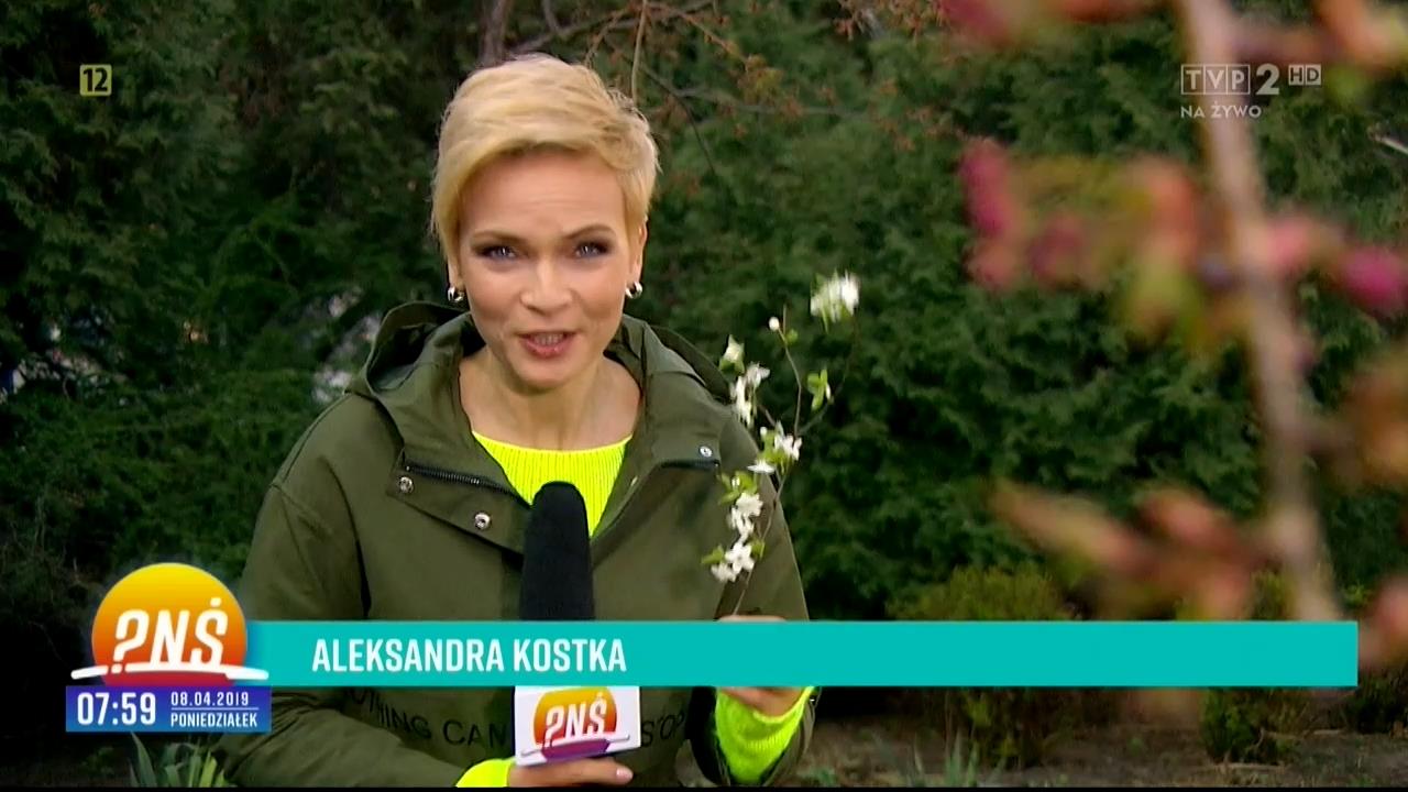 V0323_20190414_131351.mp4_snapshot_00.30_[2019.04.15_02.00.28]