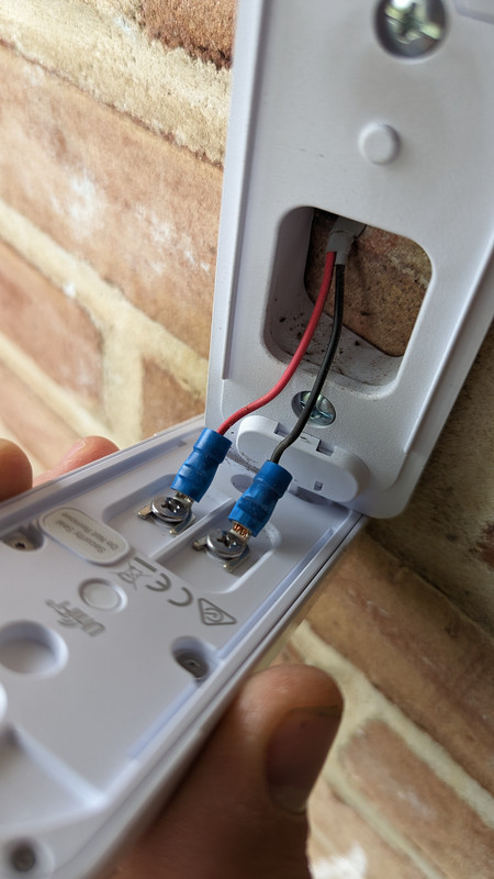 PXL_20230429_160426021