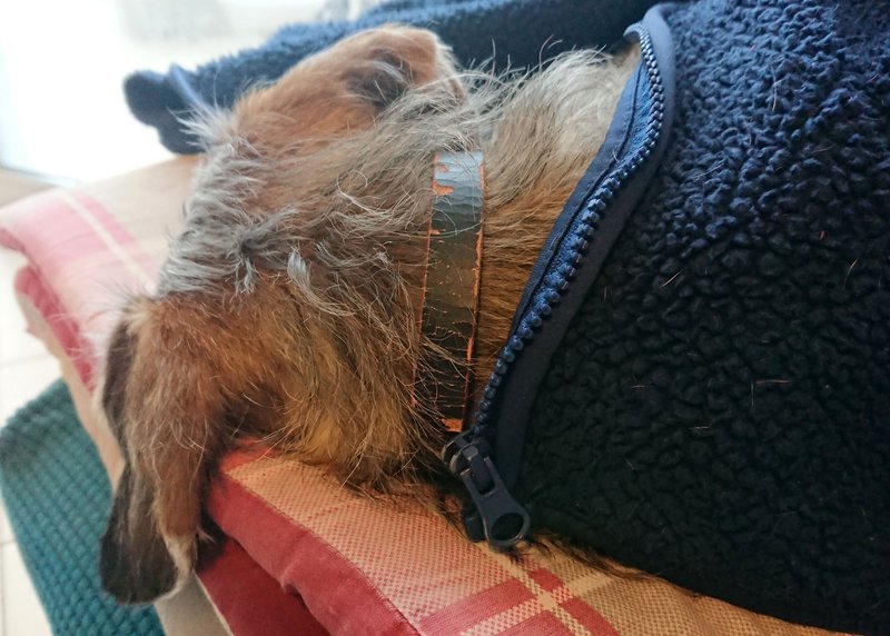 [Image: DSC-2332.jpg]