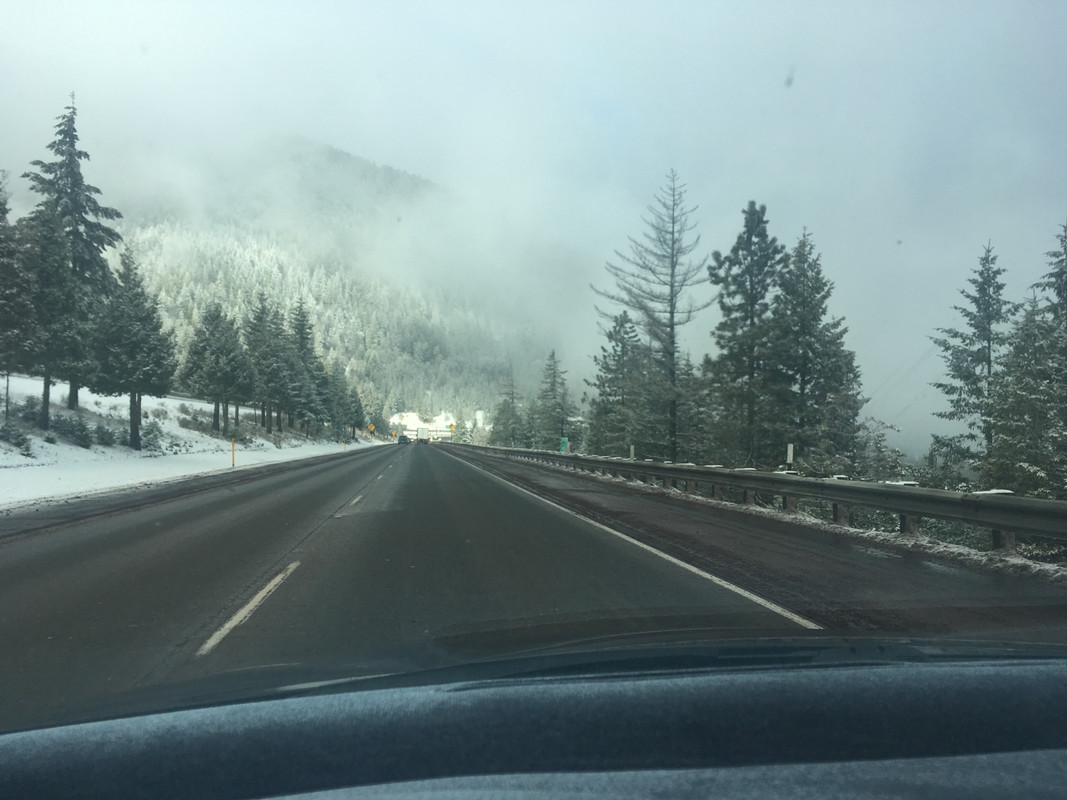 25B47295-E99E-436A-B652-2A10BF44E1FB