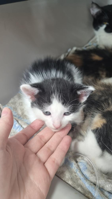 5460A44A-EA4E-49DC-8DF6-4E394B9A9AA4