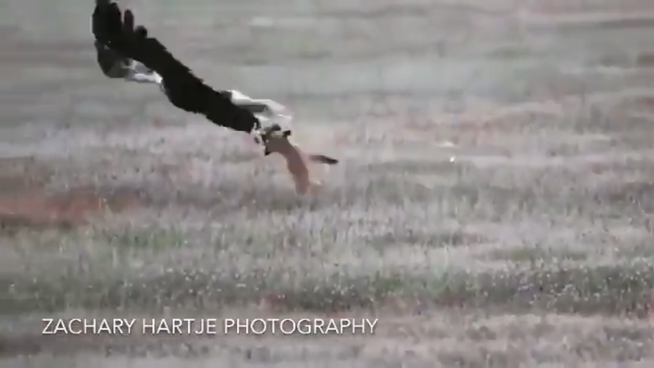 F544-A7-DA-28-C1-4-B0-B-9-D15-3-DA1075-A