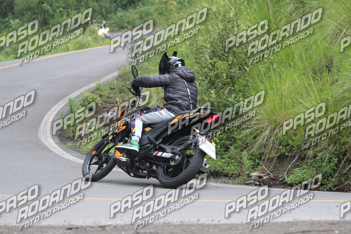 IMG 4770 wm 1434678 5 watermarked — Postimages