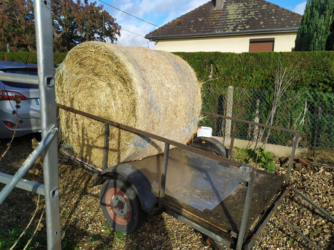 CAMPAGNE - le petit potager du Vexin Normand IMG-20221020-110727