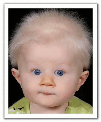 oie-12214445-ZEMNe-OHfwit-mannetje.gifjpg