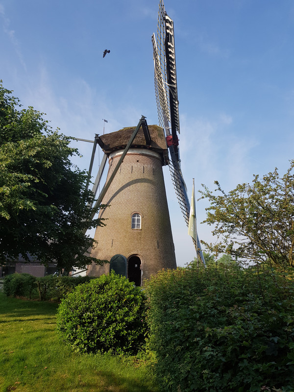 Pieter, 't Wissel 04 Elst 26-05-2018