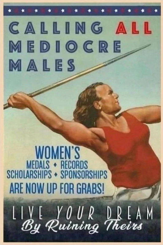 Mediocre-Males.png