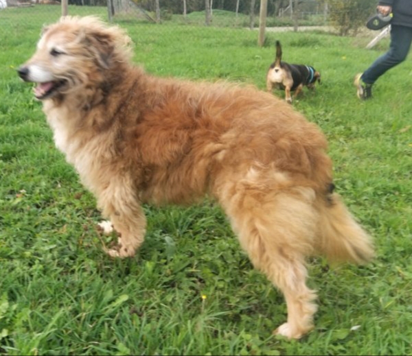 [Image: 20201114-213626.jpg]