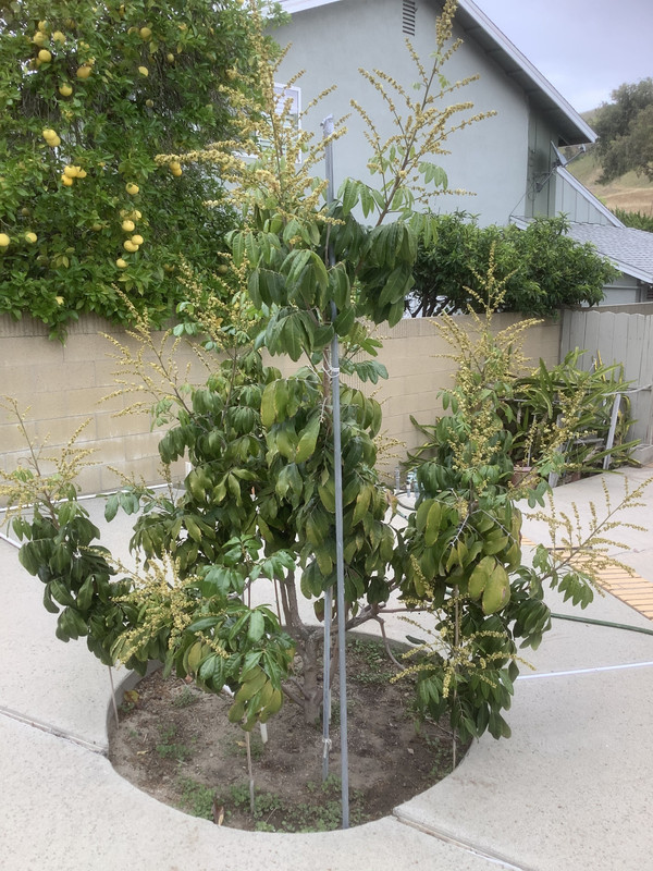 1E800551-C517-4D0F-AD86-4582B824C1A2