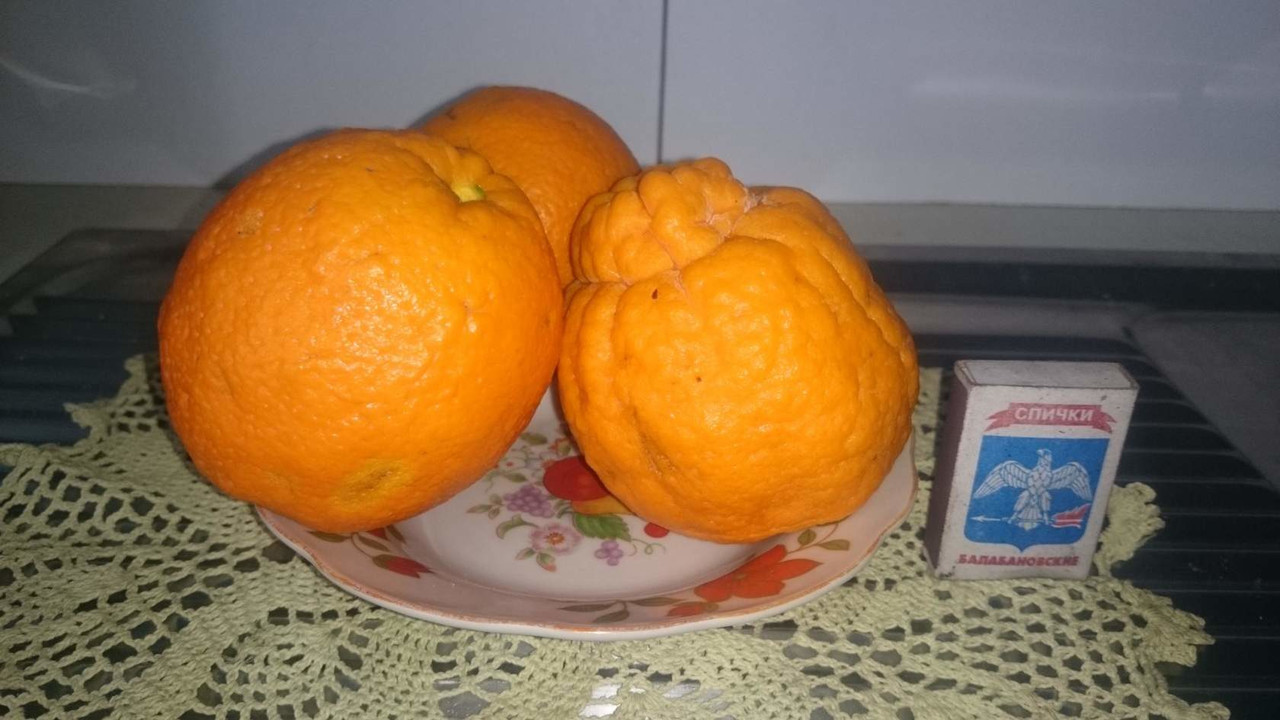 IMG_20160727_115934_0