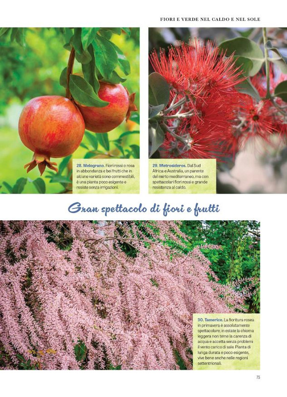 Pol Ver Spec Giu-Lug 2024 (12)