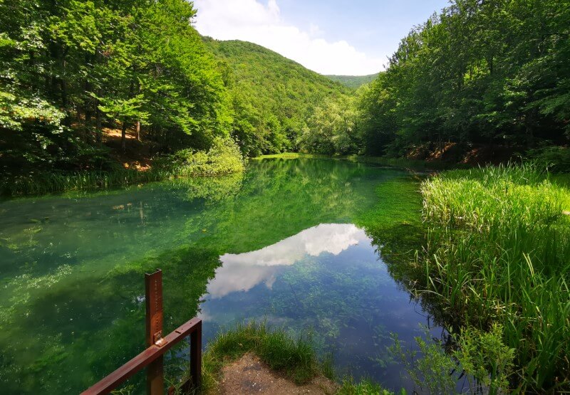 Izletište-vrelo-reke-Grza