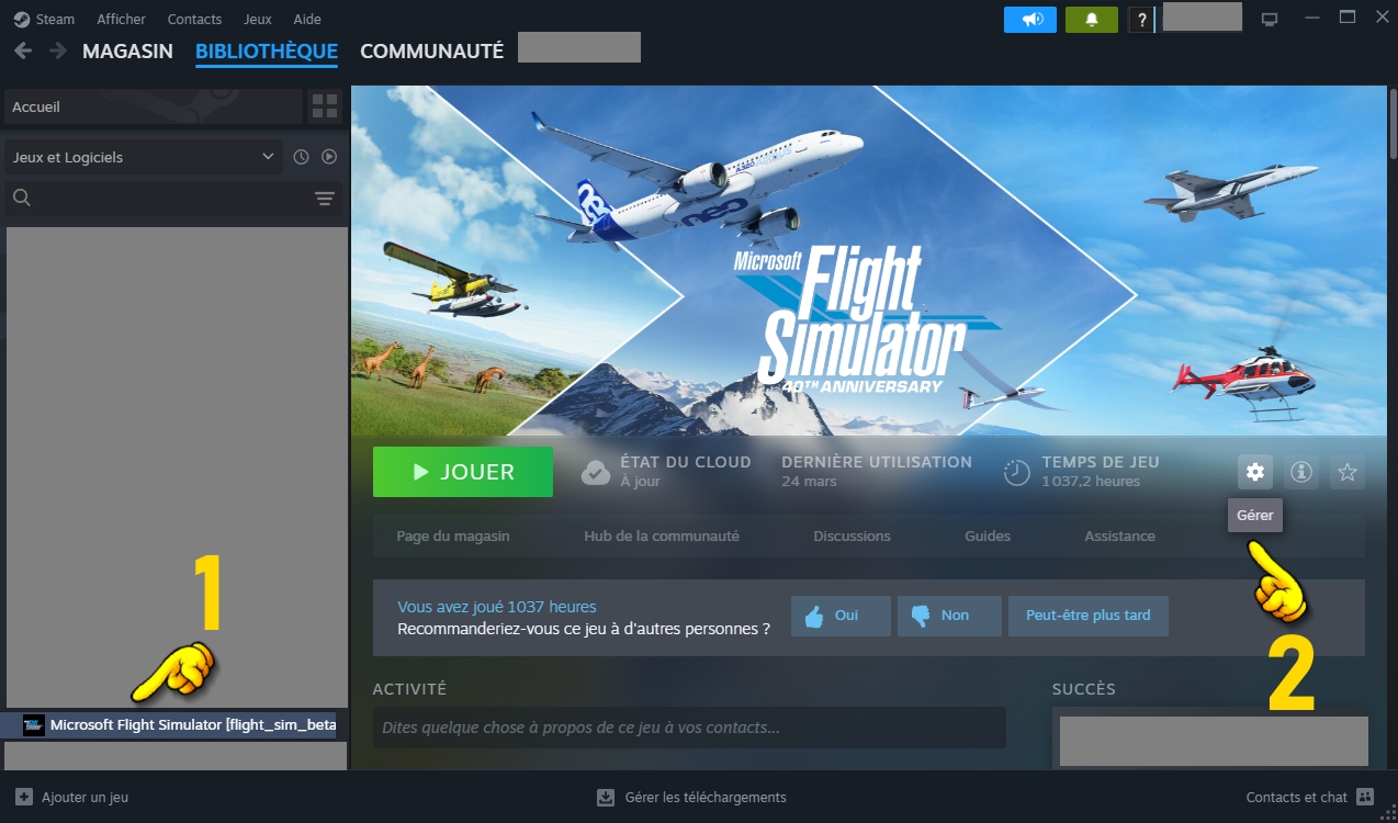 steam-msfs01.jpg