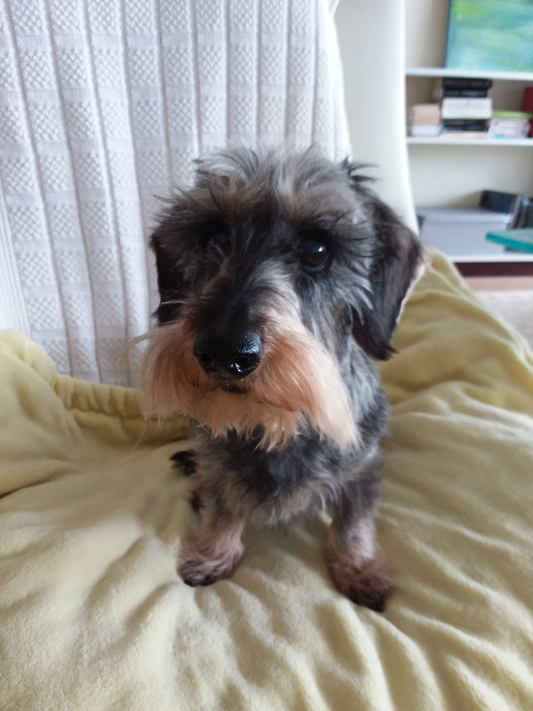 [Image: 20210312-111132.jpg]