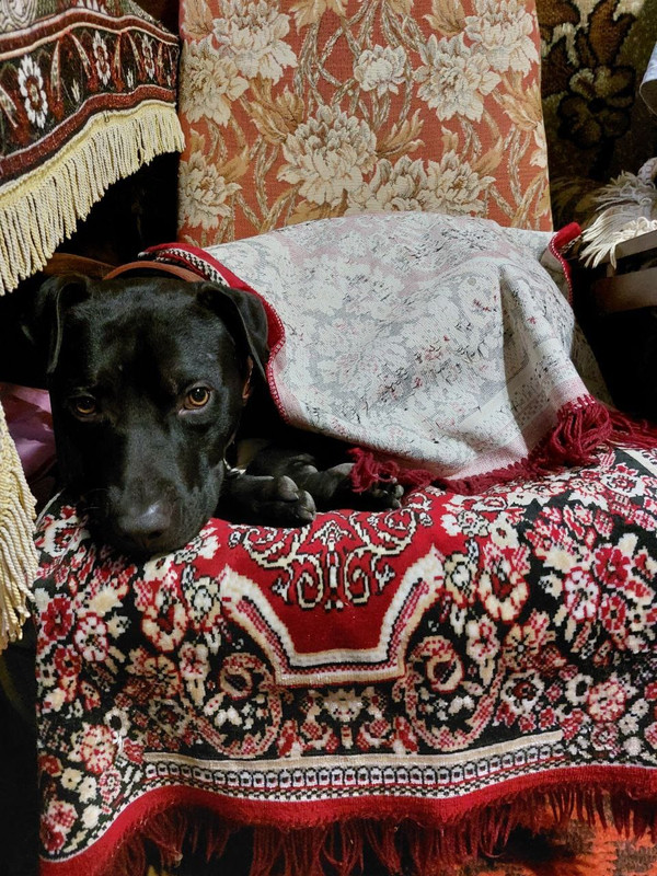 853C2A12-4420-4D08-B22D-6F8FDEF5D85D