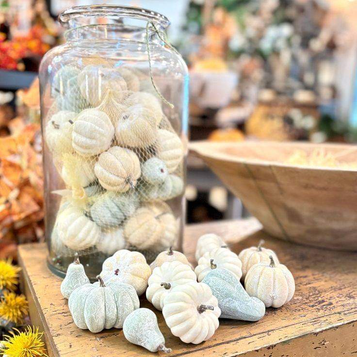 461480066_1945239872614572_7874233714875516323_n